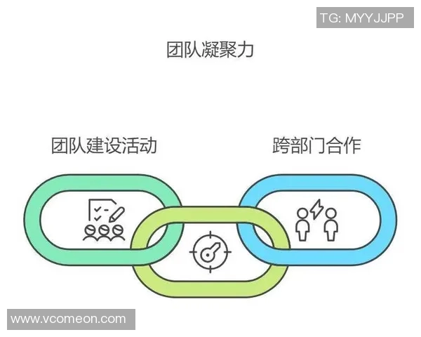以团队协作精神为核心推动力实现共同目标与个人成长的策略分析
