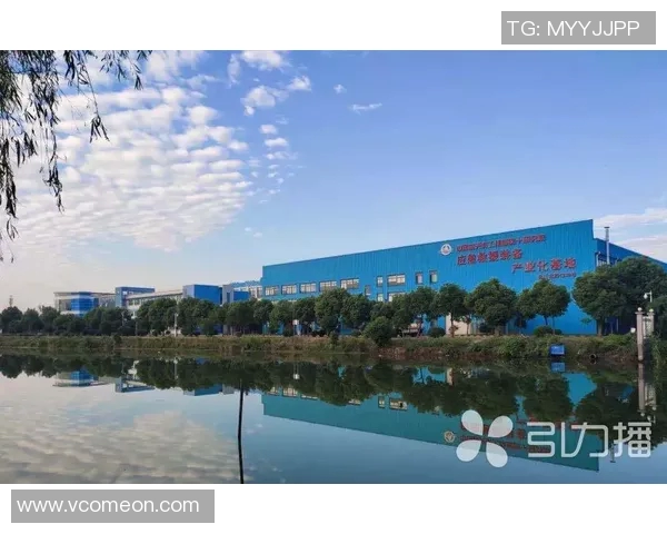 全球疫情动态实时更新 各地防控措施调整与经济复苏进展深度解析