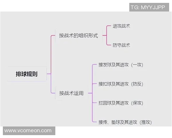 排球盛宴：深入分析西安排球队的快速战术与技巧